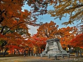 盛岡市街の紅葉はこれからです！