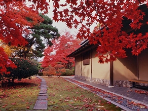網張温泉周辺の紅葉スポット情報