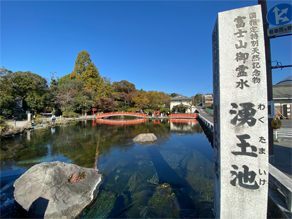 富士宮の湧水「湧玉池」へ
