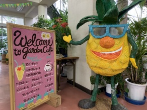 熱帯植物の楽園