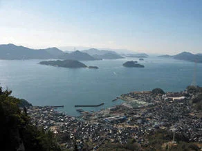 黒滝山自然観察会（3/11）のご案内