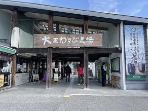 春らしさ全開！大王わさび農場に行ってきました。
