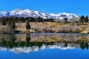 当館からすぐの桜絶景スポット～松ヶ峯～