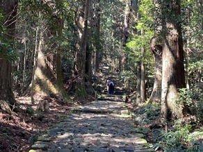 熊野古道 大門坂ツアーに参加しました！