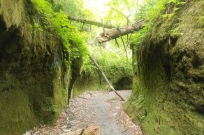 楓沢・苔の回廊への行き方【マップ付き】