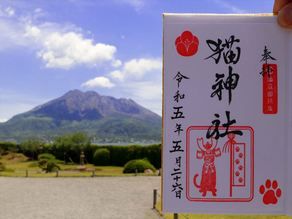 鹿児島の神社と御朱印を巡る旅　 ～猫神社編～