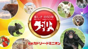 夏休み！お子様連れにオススメスポット