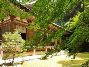 青もみじ越しの本堂~湖東三山・百済寺~