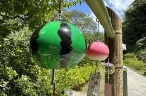 風鈴の“涼音”に包まれる了仙寺　