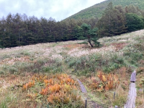 【現在の休暇村周辺の紅葉】『秋』の足音がすぐそこまで♪