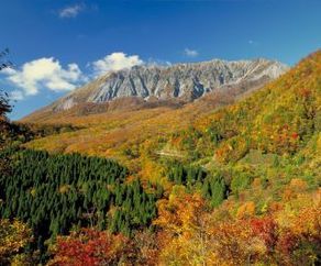 大山でリフレッシュ！！