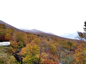 今だけ！雪と紅葉のコラボレーションをぜひご覧ください！