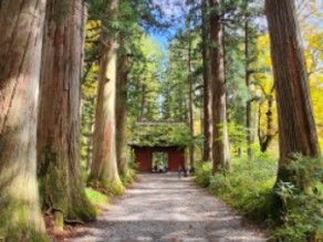 紅葉の時期に「戸隠神社五社めぐり」はいかがでしょうか