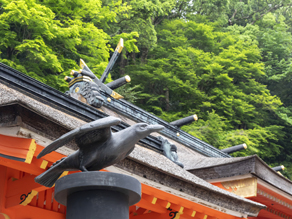 世界遺産熊野那智詣 ~平安時代へタイムトリップできる4日間~