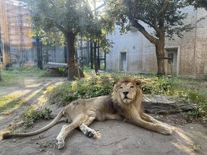 平川動物園にいる動物