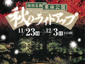 11月23日より栗林公園秋のライトアップ始まります！🍂