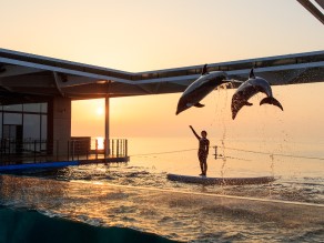 雪の日には水族館「うみがたり」はいかがでしょうか？