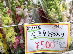 花と海と食べ放題！