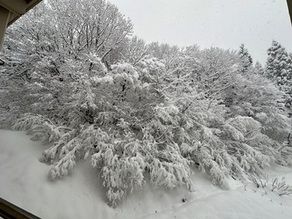 雪国ならではの白銀の世界♪