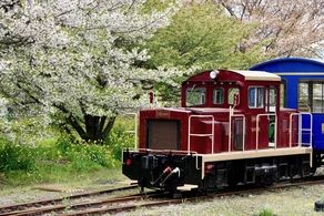 南阿蘇鉄道のトロッコ列車は3月16日に運行開始♪
