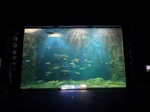 日本最大級の淡水水族館！〜サケのふるさと千歳水族館〜