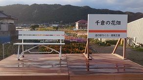 お花畑をバックに写真を撮りませんか？