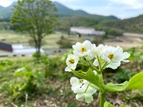 過去、日本山岳ガイド協会編(著)の「日本百低山」にも掲載の山