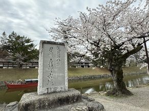 国宝　彦根城🌸