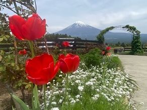 白糸自然公園の開花状況をお伝えします！