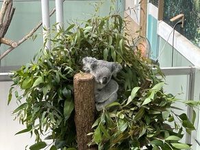 動物園日和♪