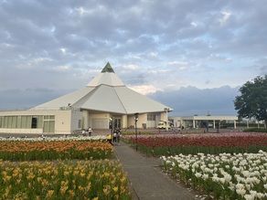 癒しの空間「ゆりフェスタ」！