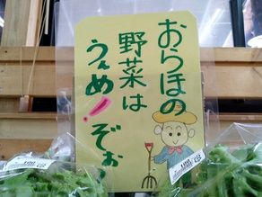 長山街道沿い　🥒新鮮旬野菜🍅