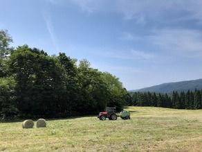 高原の絶景