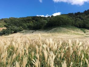 残暑がまだまだ厳しいそうですが奥大山では...?