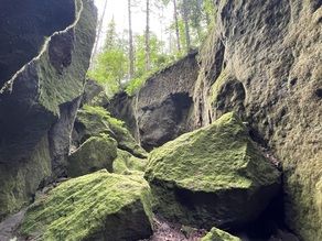 楓沢（苔の回廊）
