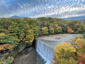 秋と言えば・・・紅葉だね