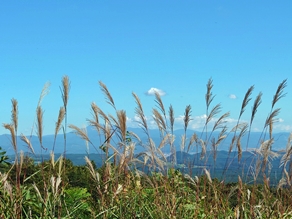 網張の紅葉はいつ頃？