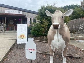 自家製工房でおいしいランチを