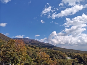 紅葉、進んでます