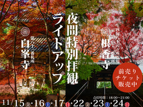 白峯寺と根香寺が期間限定でライトアップ！！