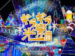 東京ドイツ村 2024イルミネーション