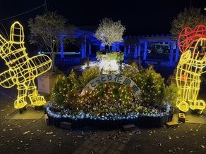 花とイルミネーションのコラボ‼夢の世界とは？