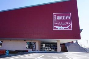 年末年始の買い物は「海の市」へ