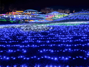【まんのう公園】ウィンターイルミネーション2024が開催中!
