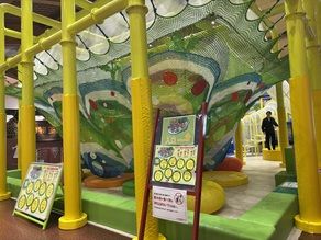 行くなら今がオススメ！冬の最強屋内スポット