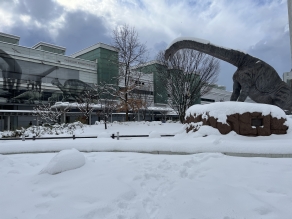長引く寒波で福井駅の恐竜が絶滅しそうだ。