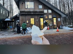 雫石で大人気「松ぼっくり」のジェラートをどうぞ