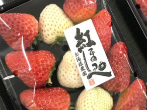 白いちごがあることも?!　いちご🍓を買って帰るならココ