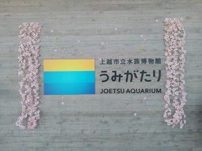 雨でも、楽しめる場所【うみがたり】