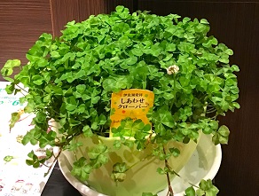小さな幸せをおすそ分け